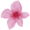 emoi-o-naturel_favicon