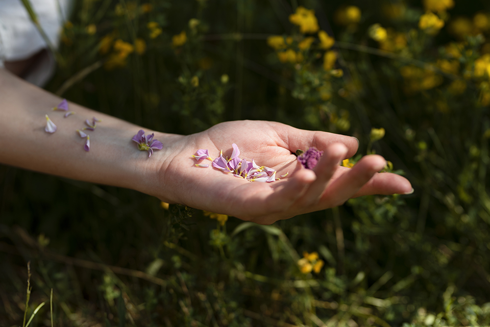 main-a-angle-eleve-avec-des-petales-de-fleurs copie