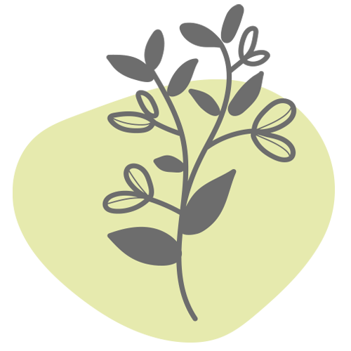 pictofloral3